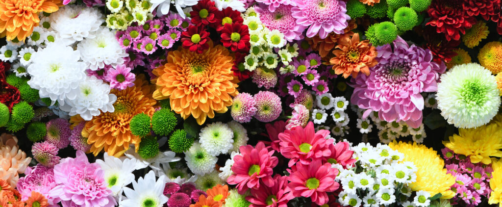Pots de fleurs pour la Toussaint à Tonneins